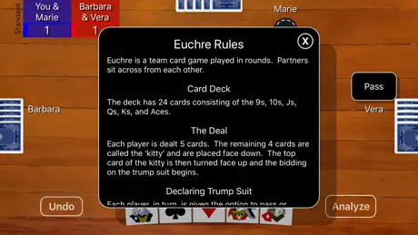 Euchre Card Classic