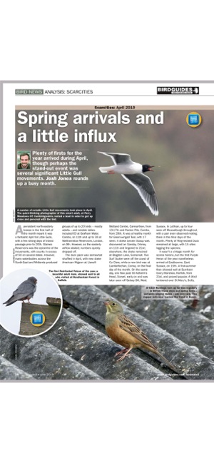 Birdwatch Magazine(圖2)-速報App