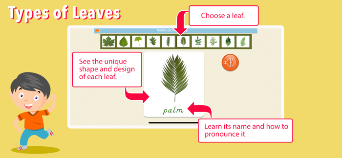 Learn Botany - Parts of Plants