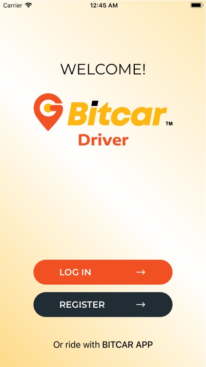 BitCar Driver