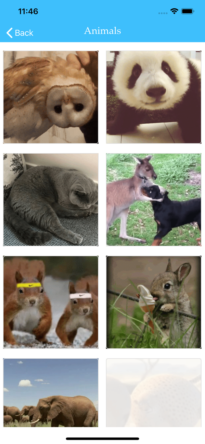 GIF Master Collection