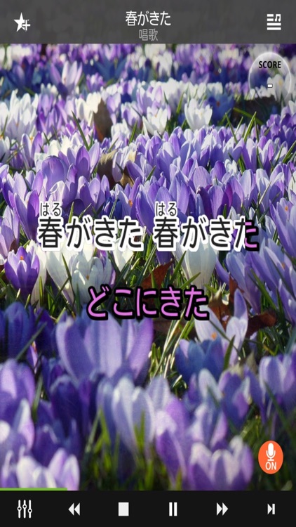 MAGICSING JAPAN karaoke