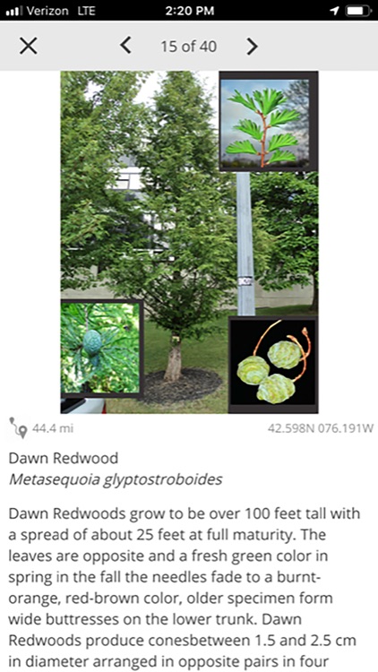 Cortland Trees screenshot-3