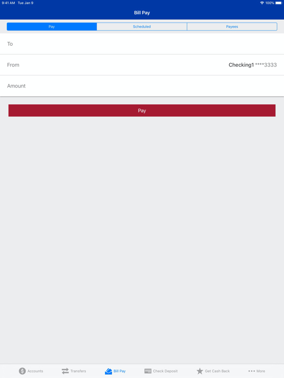 RiverWind Bank iPad screenshot 5 - Finance app