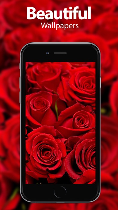 Screenshot #1 pour Flower Wallpapers & Themes