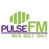 The New Pulse FM icon