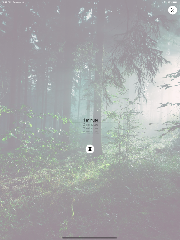 Screenshot #5 pour Nature Sounds méditation