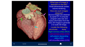 Basic Radiology - SecondLook screenshot