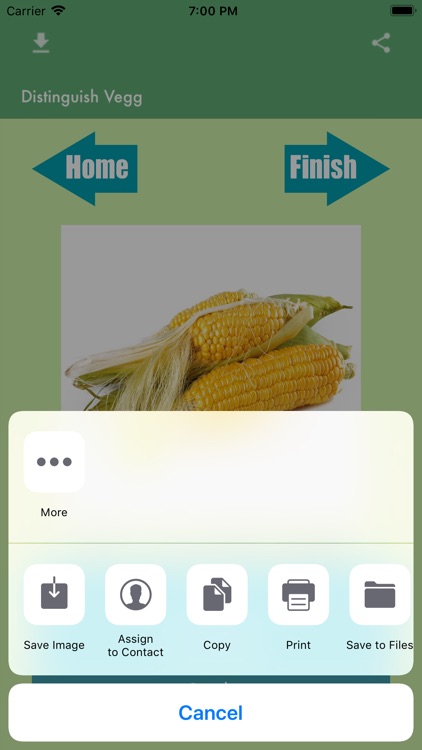 DistinguishVegg screenshot-4