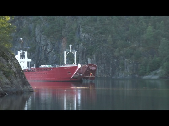 Screenshot #5 pour Screenloop Play