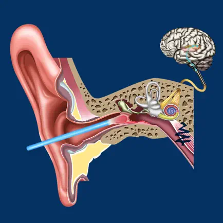 Ear Disorders: Outer Middle Cheats