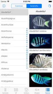 oman fish id problems & solutions and troubleshooting guide - 2