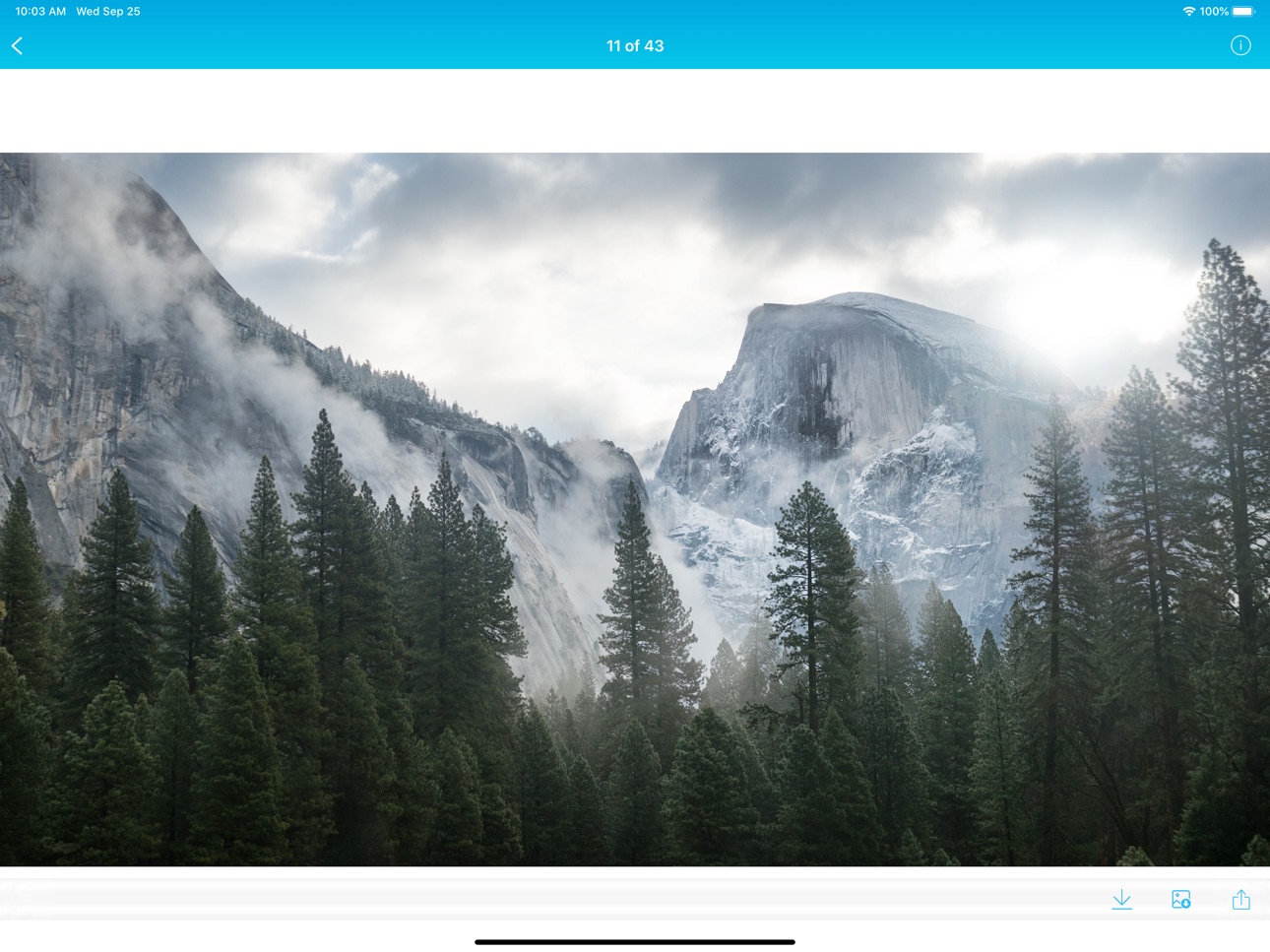iPad screenshot