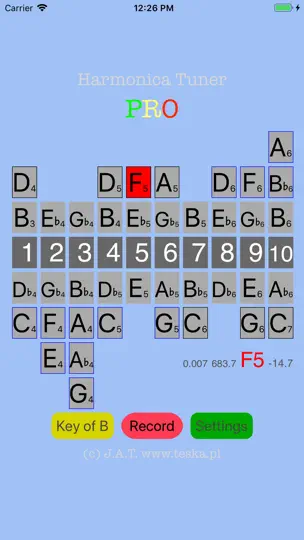 Captura de pantalla de Harmonica Tuner Pro en iPhone 3