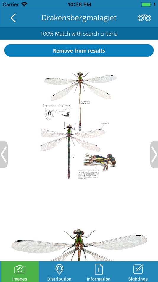 #3. DragonflyPro (iOS) By: High Branching cc