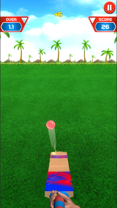 Knock Knock Cricket 2019 screenshot 3