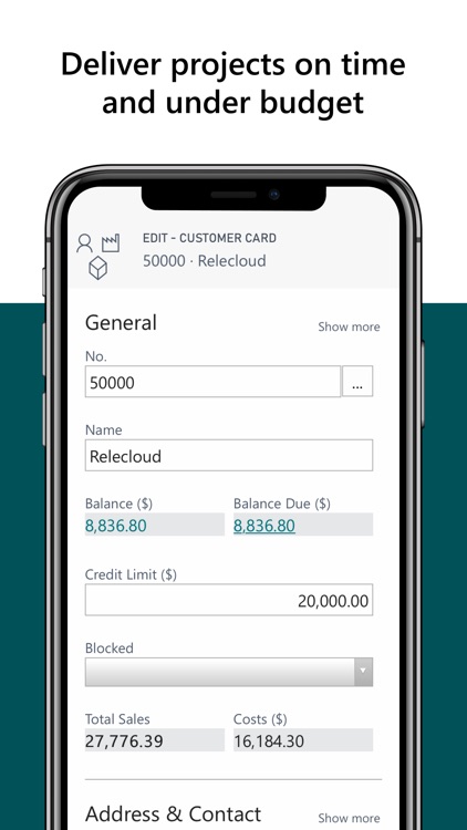 Dynamics 365 Business Central screenshot-3