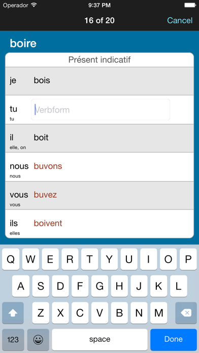 French Verbs & Conjugation Screenshot
