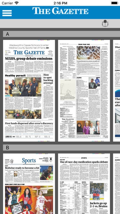 Medina Gazette screenshot-5