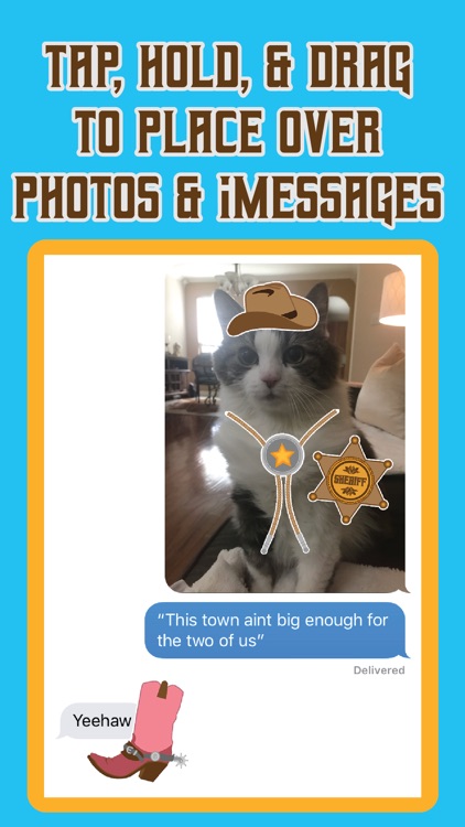 Funny Texas Animated Stickers