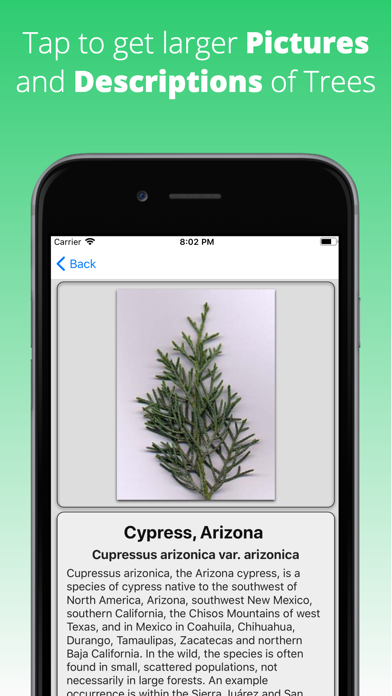 Tree Dictionary Screenshot