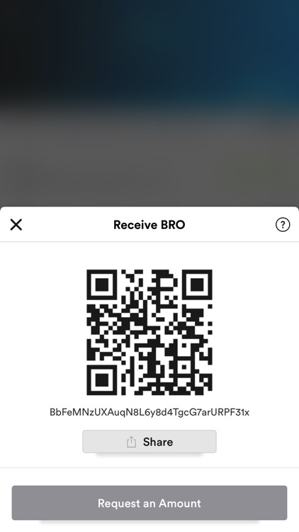 BRO Wallet screenshot-3