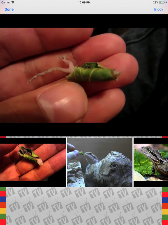 Screenshot #5 for PlayCorner TV