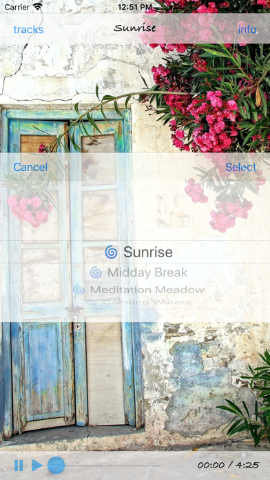Screenshot #2 pour Mindspring