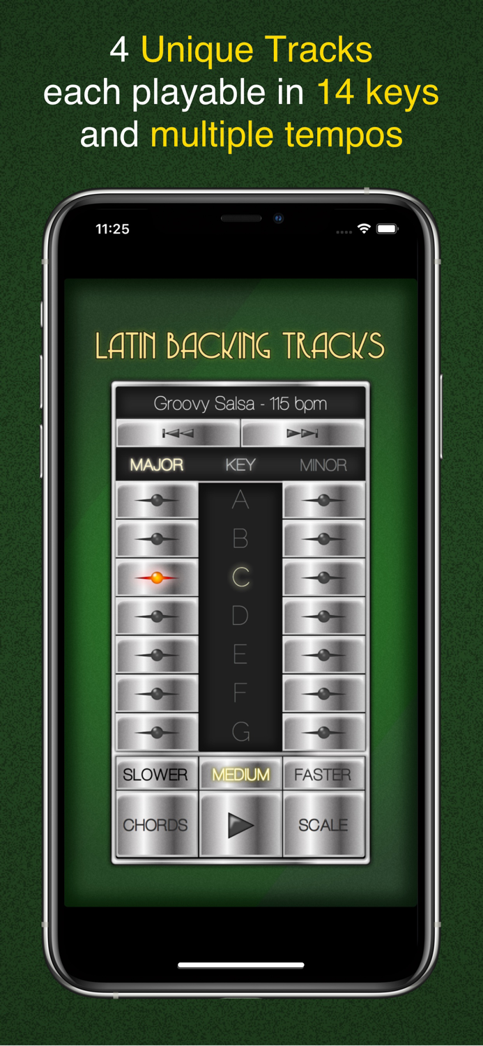 Backing Tracks Latin