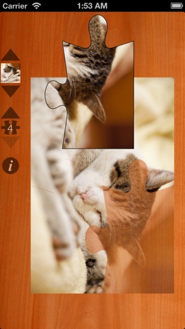 Cat Puzzlesのおすすめ画像5