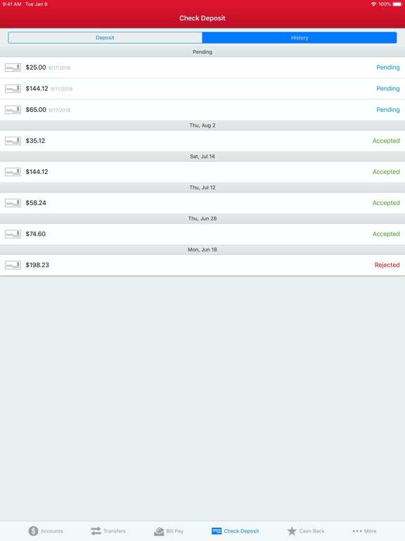 RIAFCU Mobile Banking iPad screenshot 9 - Finance app