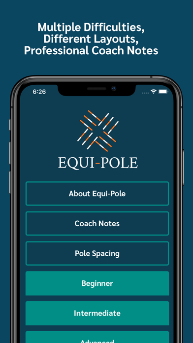 Equi-Pole Screenshot