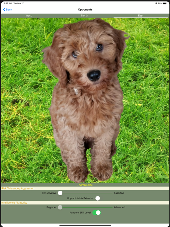 Screenshot #6 pour K9 Shanghai Rum: Phase Rummy