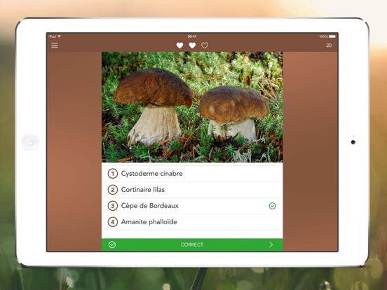Champignons PRO Champignons PRO