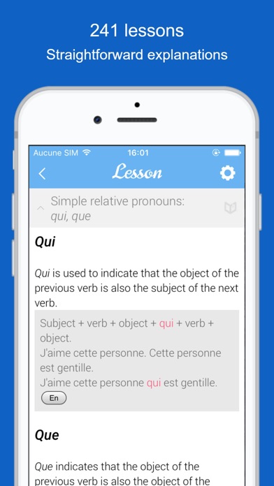 Dr French: French grammar Screenshot