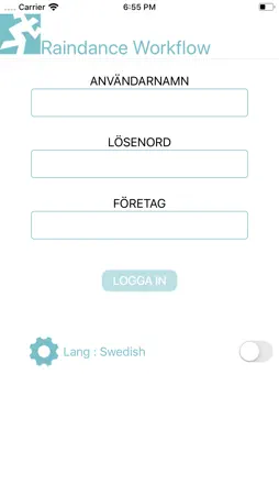 Raindance - Workflow screenshot 1