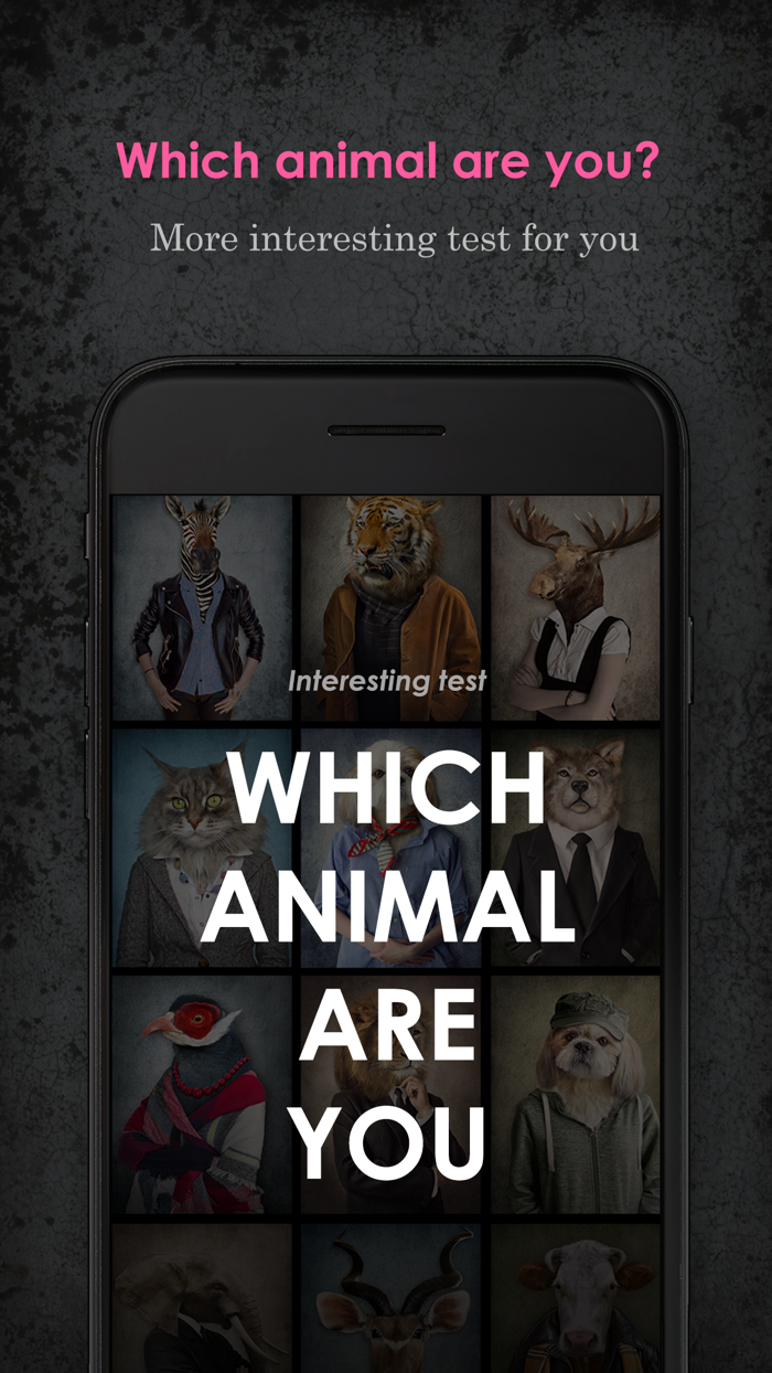 Animal Hidden Power Dog Test