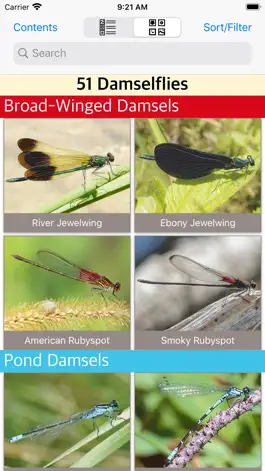 Game screenshot Damselflies of MN, WI, & MI apk