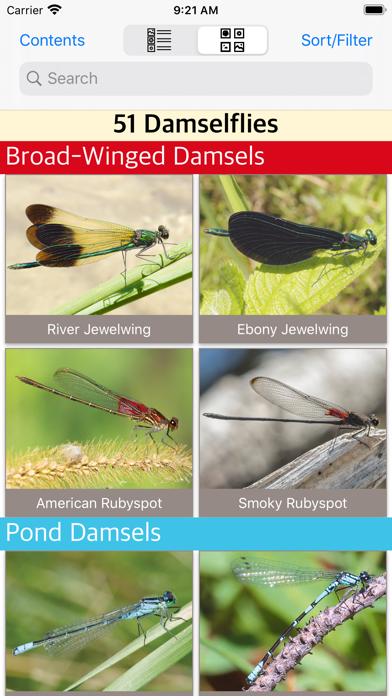 Damselflies of MN, WI, & MI Screenshot