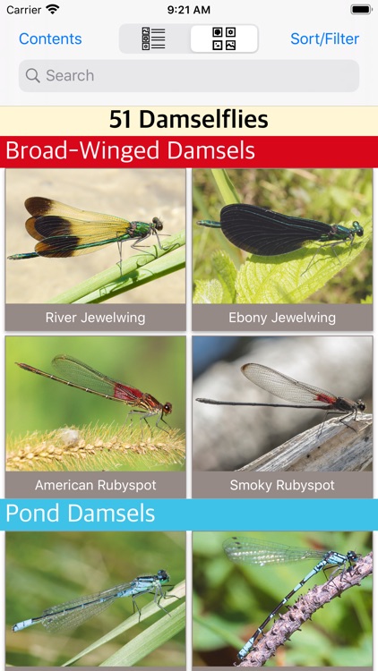 Damselflies of MN, WI, & MI