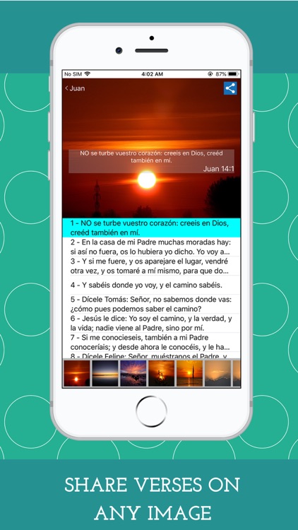Reina Valera screenshot-5