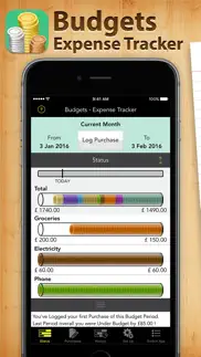 budgets - expense tracker iphone screenshot 1