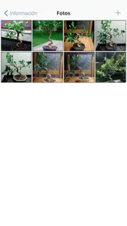 bonsai album iphone capturas de pantalla 4