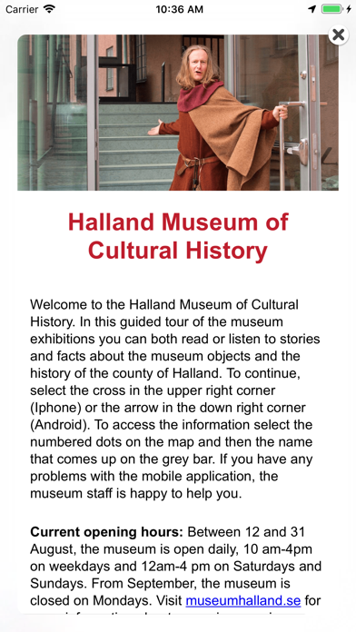 Museumhalland screenshot 2