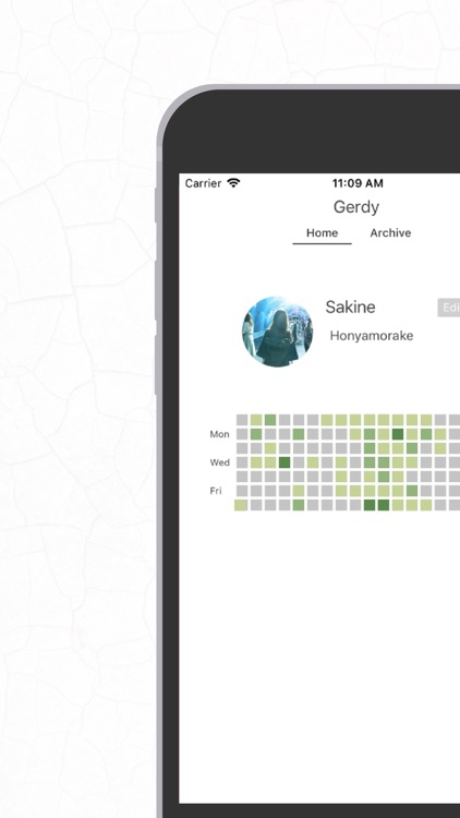 Gerdy (ジェルディ)