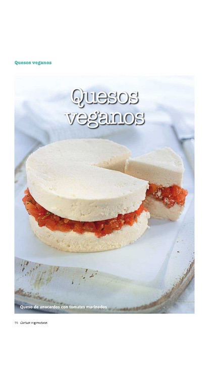 Cocina Vegetariana screenshot-8