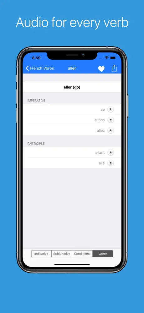 French Verb Conjugator Pro