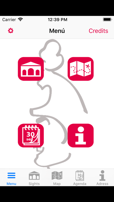 Screenshot #2 pour Solsona audio