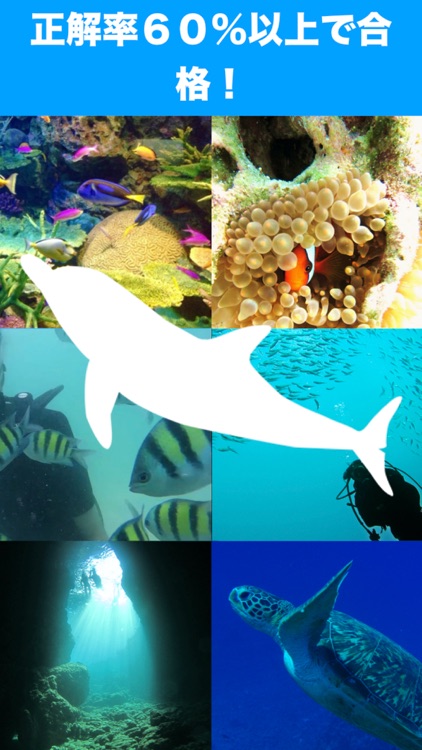 【ダイビング】オープンウォーターダイバー試験練習・過去問題集