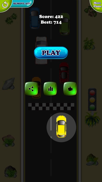 Race Classic screenshot 3
